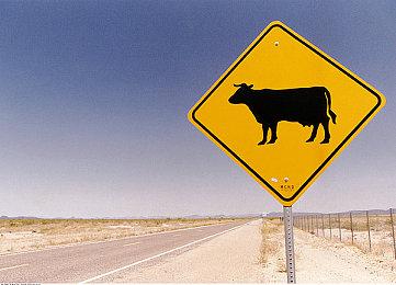 伦敦举行游戏市场节吸引大批玩家 近10年复古游戏潮愈盛